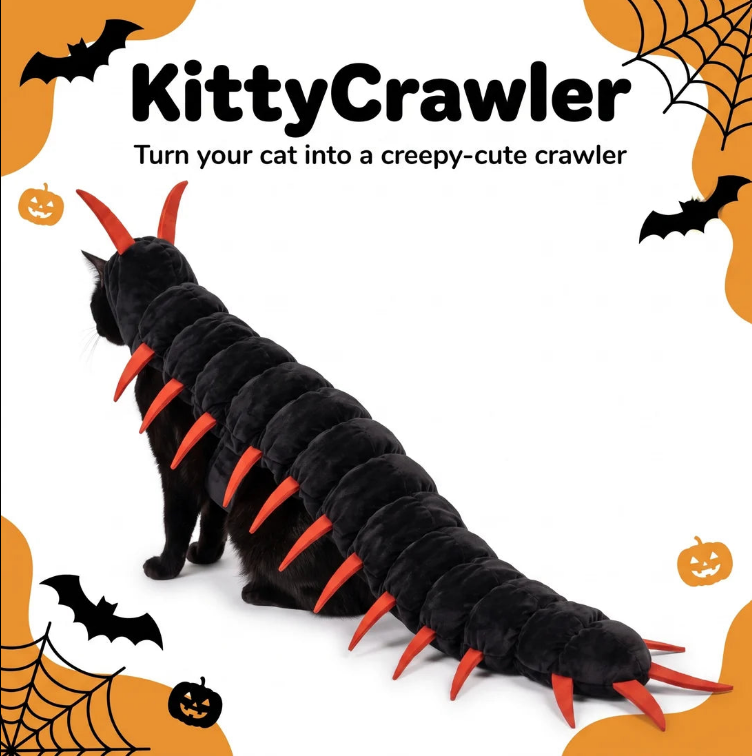 Kitty Crawler