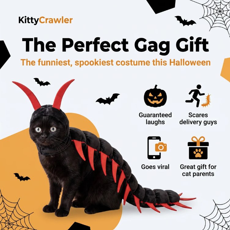Kitty Crawler